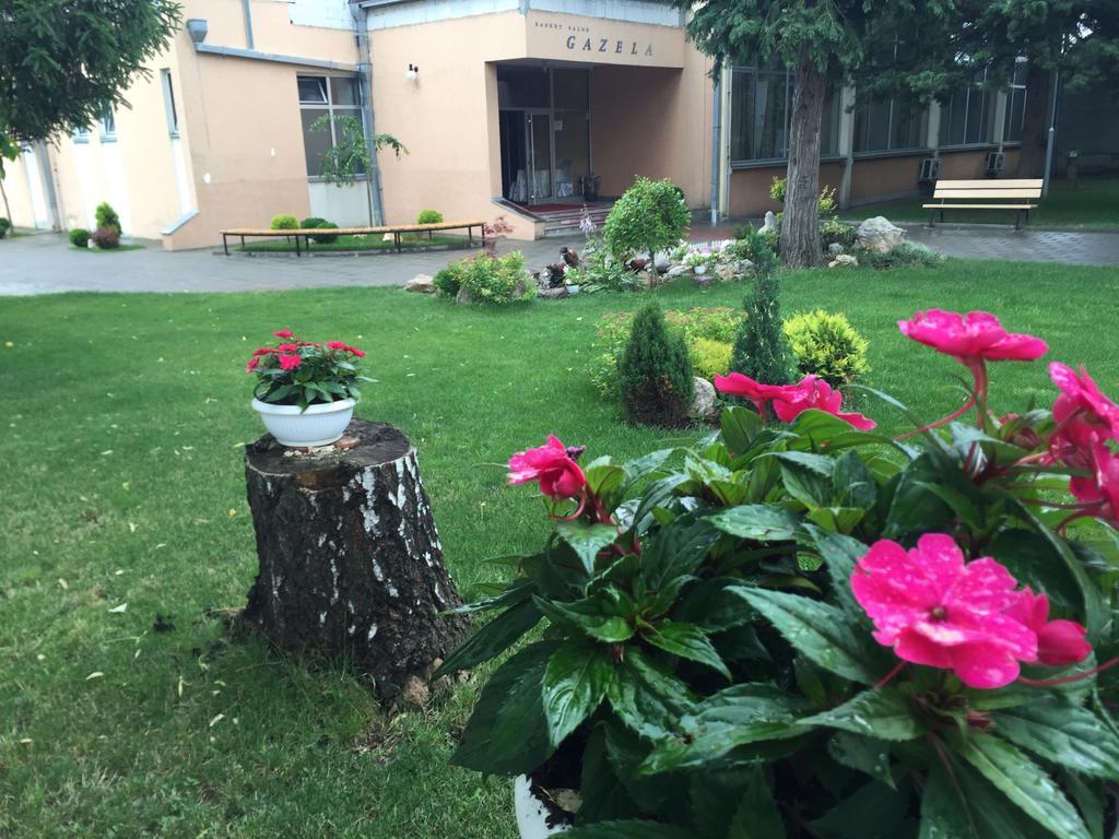 Prenociste Gazela Bed & Breakfast Pirot Luaran gambar