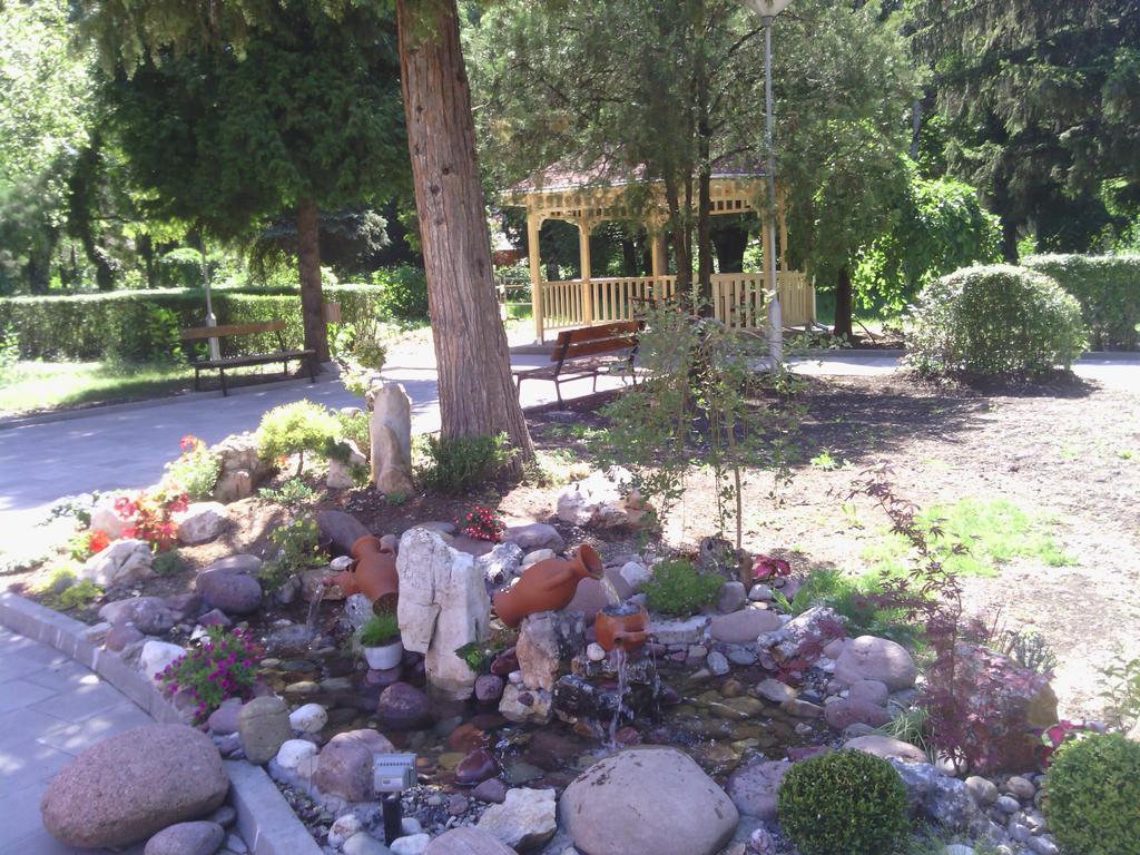 Prenociste Gazela Bed & Breakfast Pirot Luaran gambar